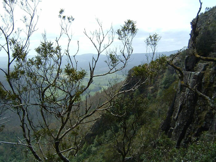 14 Tasmania.jpg